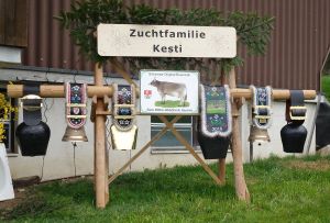 zzSchne Dekoration